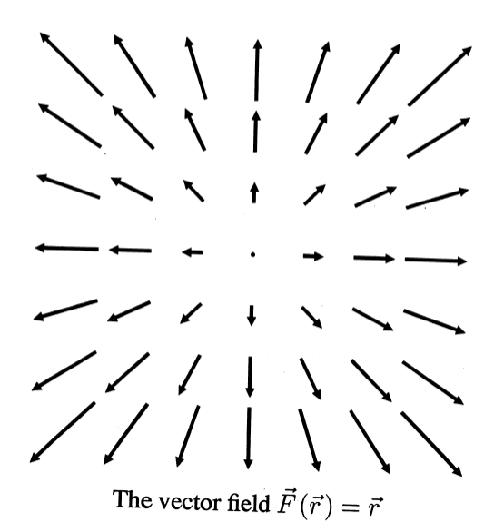 The vector field F(r) = r